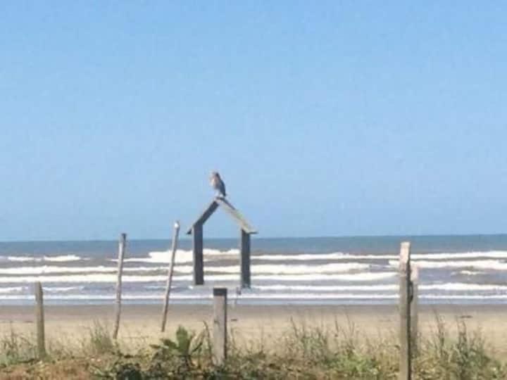 Pe Na Areia Gaivotas Com Wi-Fi Βίλα Itanhaém Εξωτερικό φωτογραφία